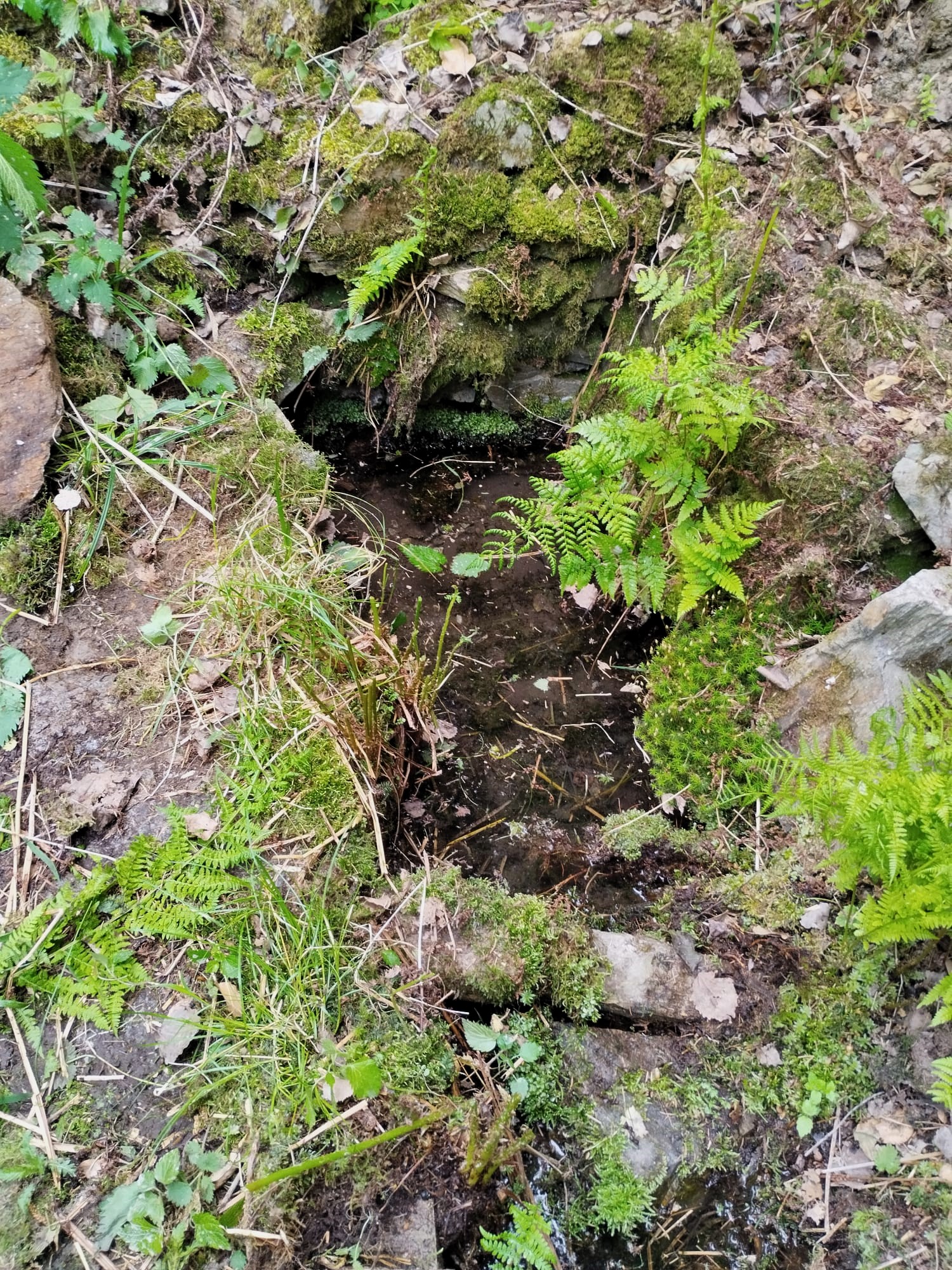 IMG-20250514-WA0022