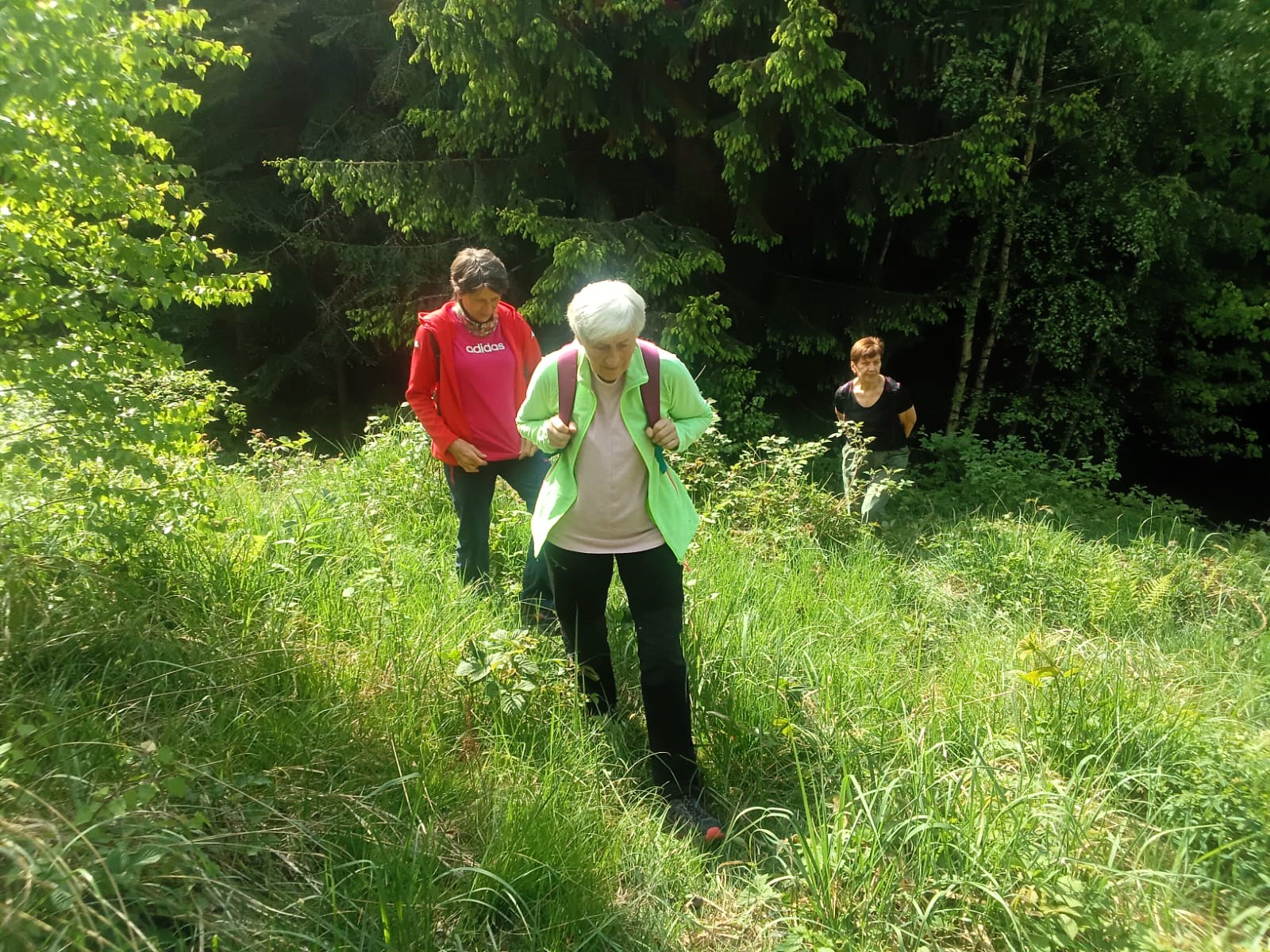 IMG-20250514-WA0031