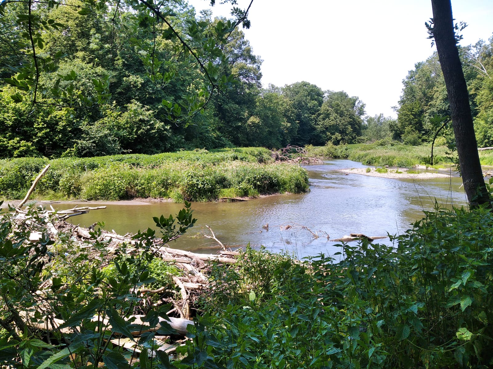 IMG-20250611-WA0050