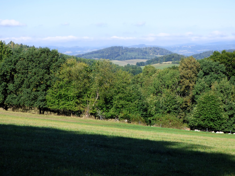 P1160967