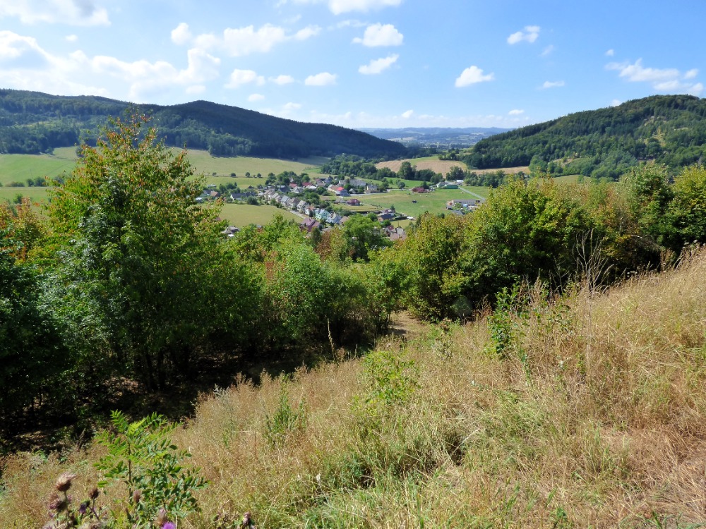 P1170006